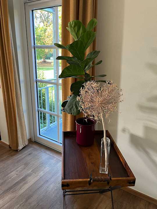 Gastro Gut Gremmelin