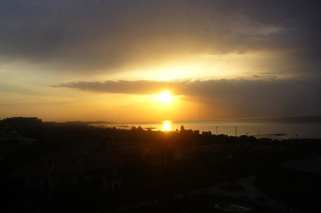 Sonnenuntergang  Papillon Belvil