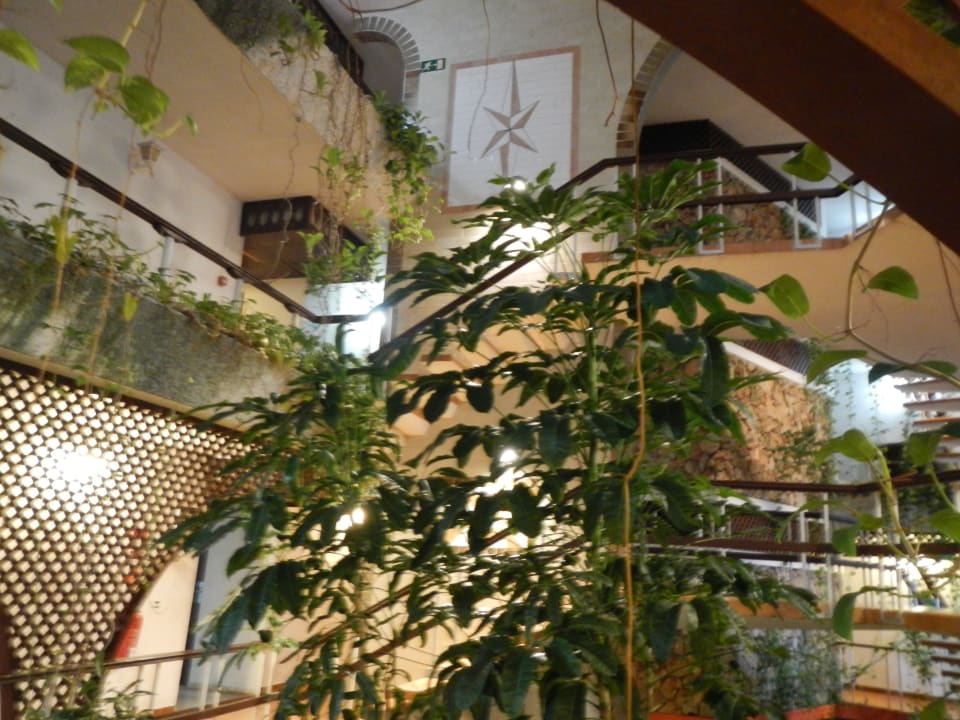 Aufgang zum Zimmer Starfish Cuatro Palmas