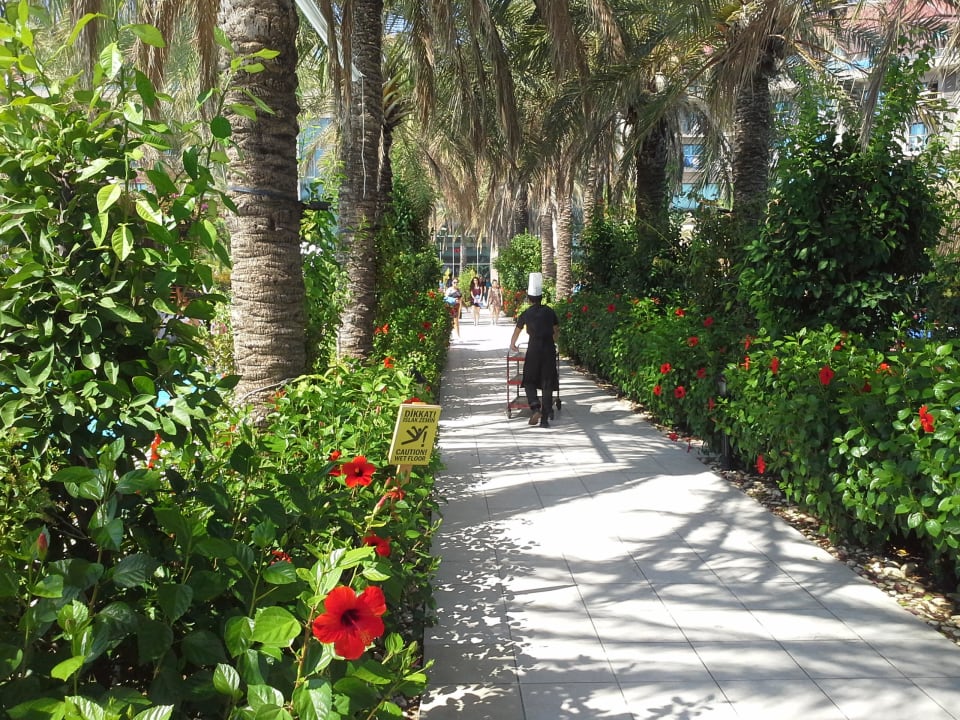 Poolbereich Özlem Garden Hotel