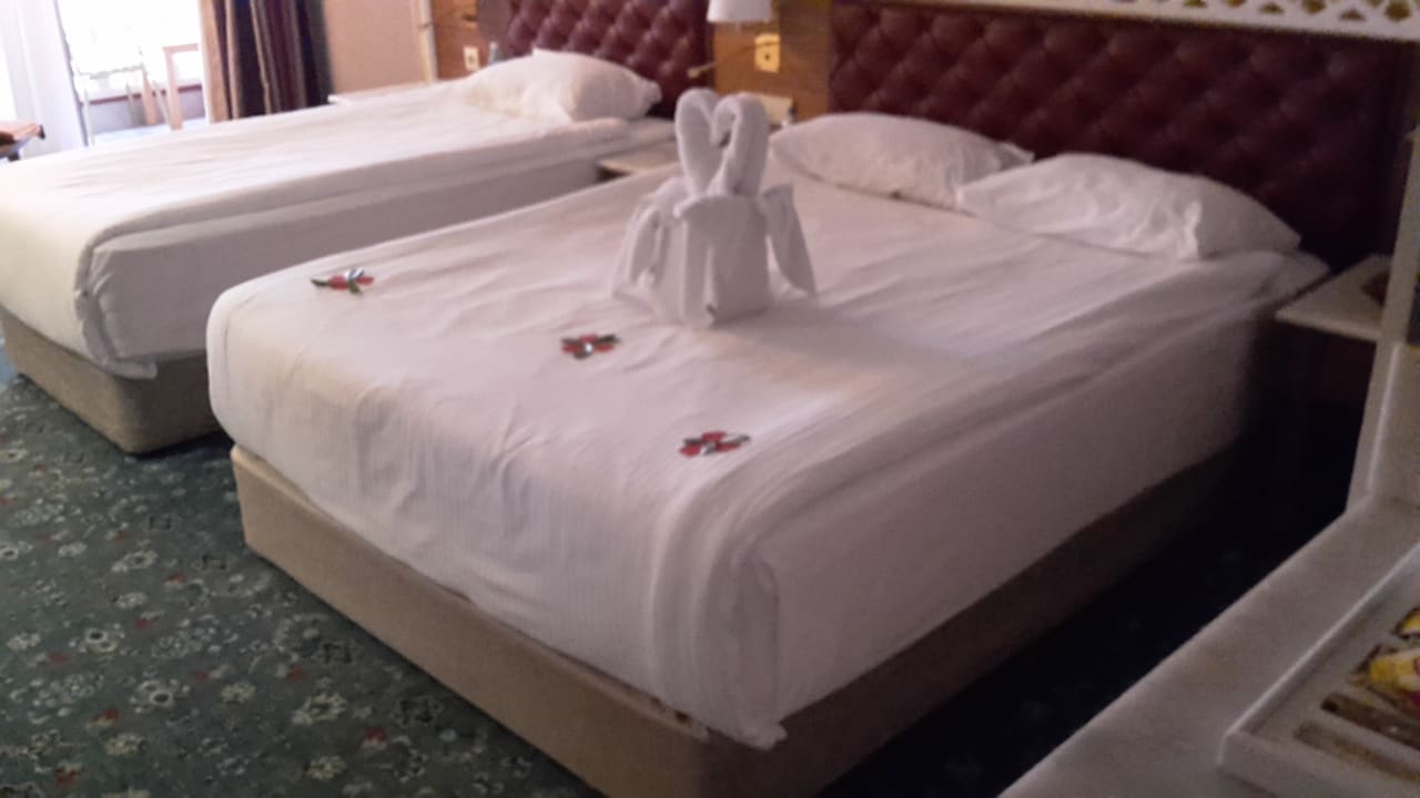 Zimmer Royal Taj Mahal Hotel