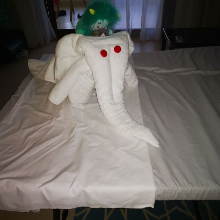 Zimmer Gravity Hotel & Aquapark Sahl Hasheesh