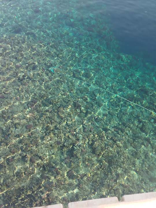 Strand Pickalbatros Sea World Resort - Marsa Alam