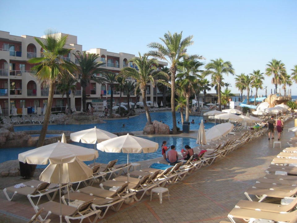 Traumhaft schön! Grupotel Alcudia Pins