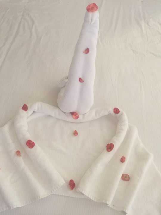 Zimmer Pickalbatros Aqua Park Resort - Sharm El Sheikh