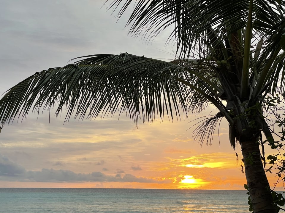 Ausblick NH Collection Maldives Havodda Resort
