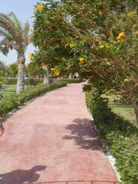 Sehr gepflegte Anlage und saubere Wege Fantazia Resort Marsa Alam