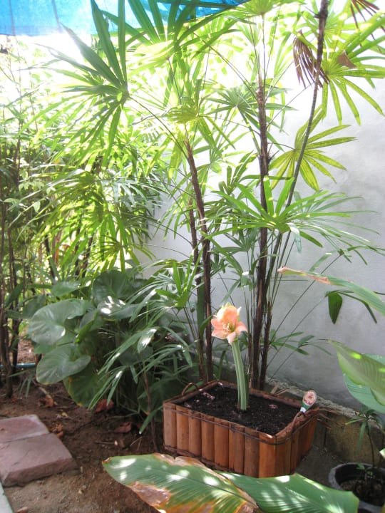 Thupthong Guesthouse & Bungalow Thupthong Guesthouse