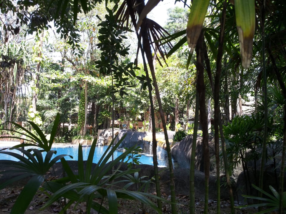 Dschungelpool Khao Lak Merlin Resort