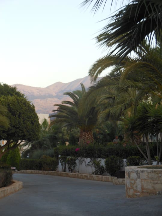 Hotel  Grand Hotel Holiday Resort