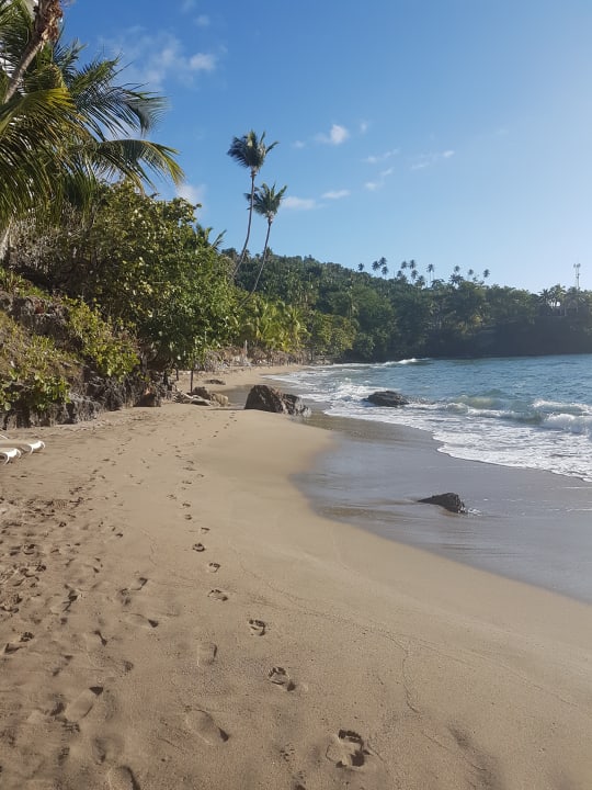 Strand Bahia Principe Grand Samana - Adults Only