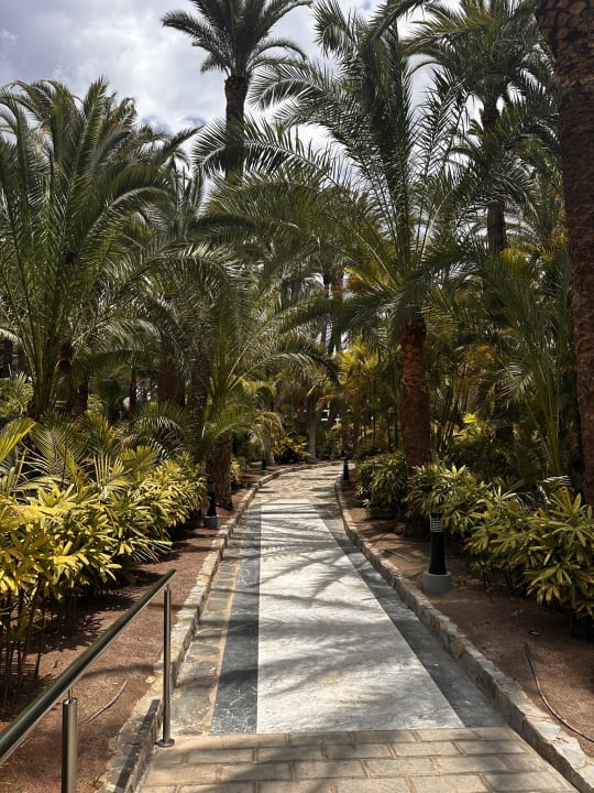 Gartenanlage Hotel Riu Palace Oasis