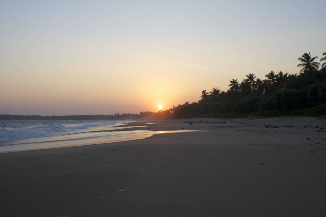 Ohne Worte  Golden Coconut Cabanas