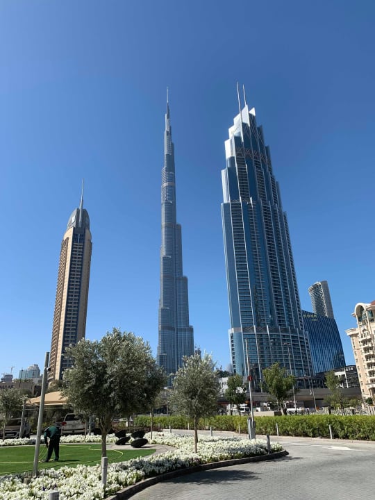 Gartenanlage Rove Downtown Dubai