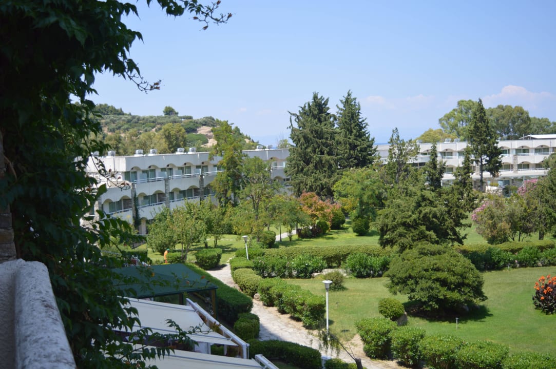 Ogród Hotel Athos Palace