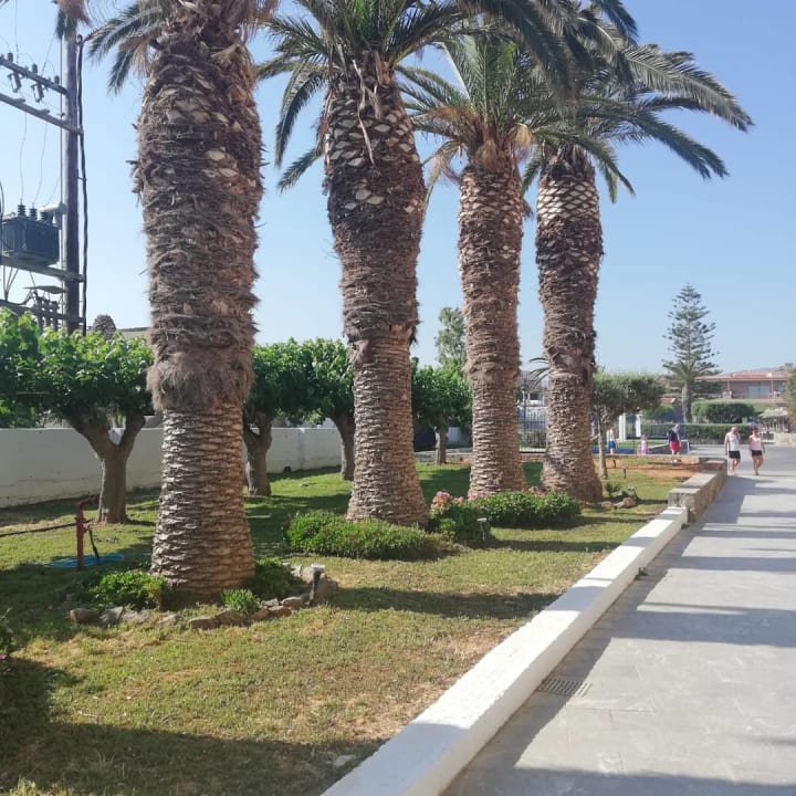 Gartenanlage Hotel Aphrodite Beach Club