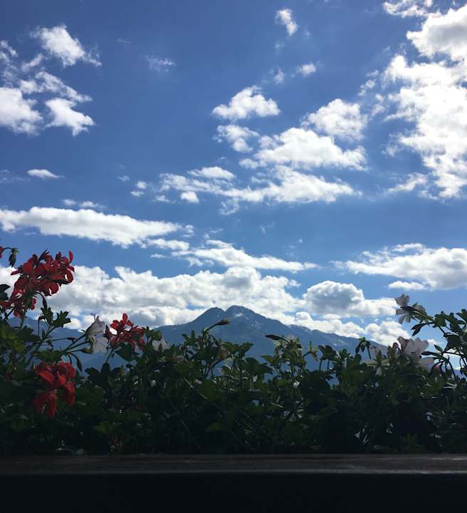 Ausblick Hotel Habhof Garni