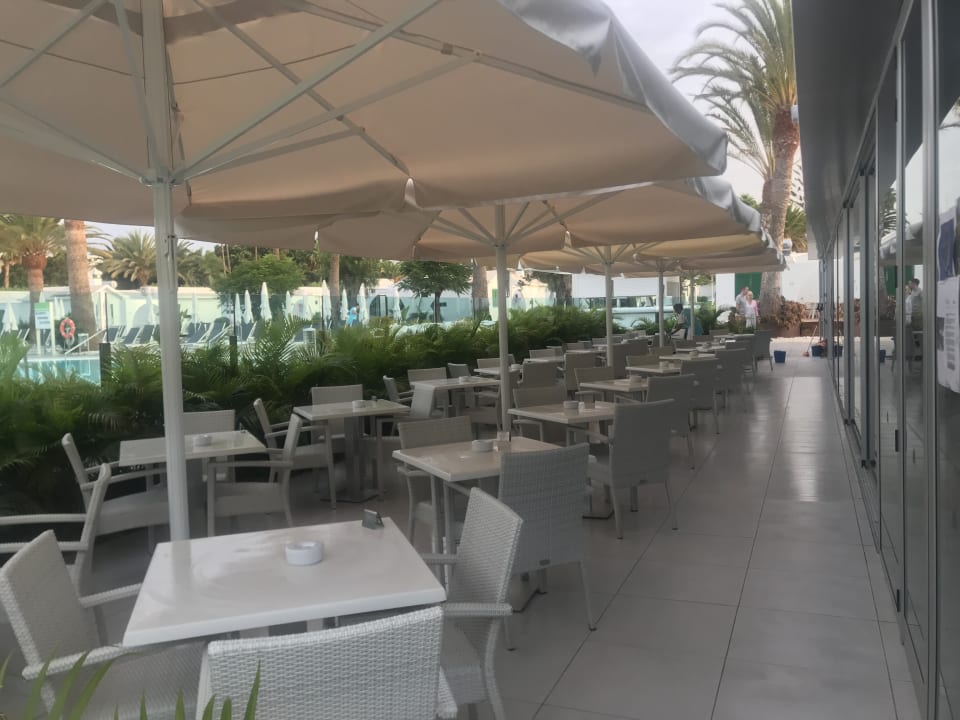 Gastro Canary Garden Club