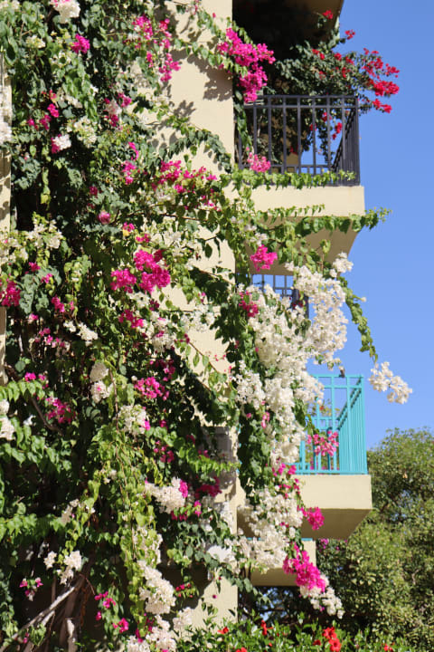 Gartenanlage VONRESORT Golden Beach