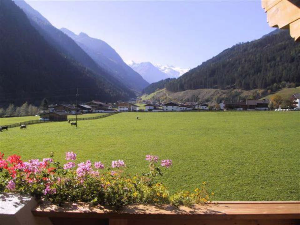 Blick aus Ihrem Appartement Landhaus Müller FeWo