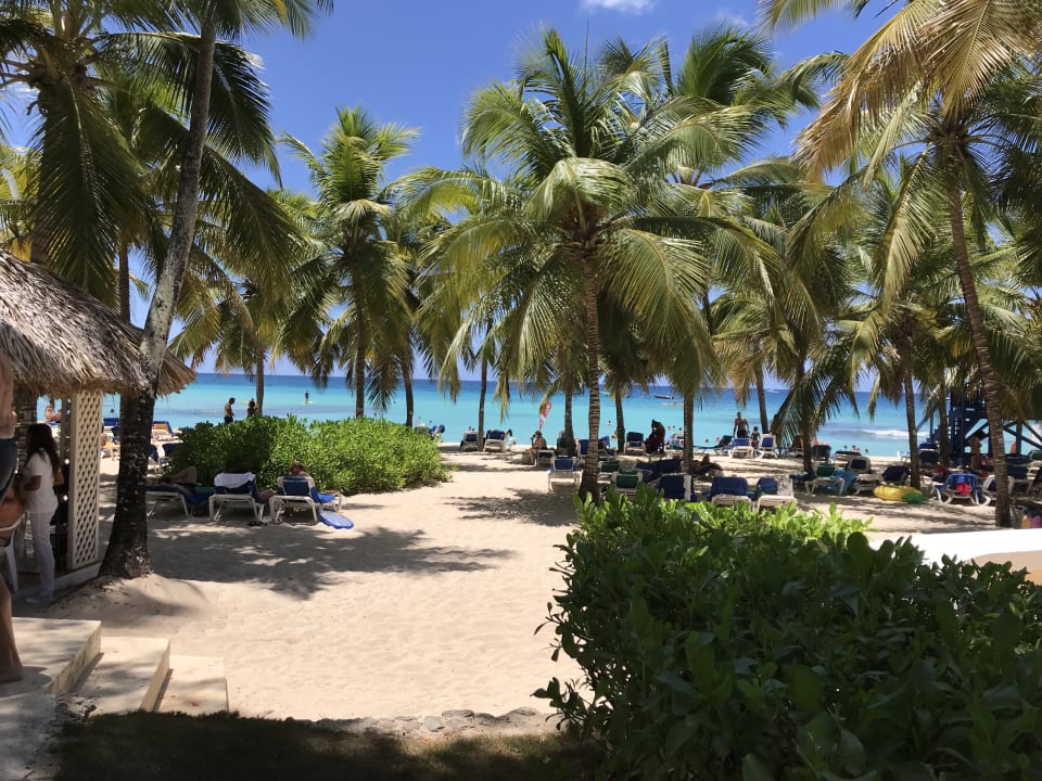 Außenansicht Hotel Viva Dominicus Beach by Wyndham - All Inclusive Resort