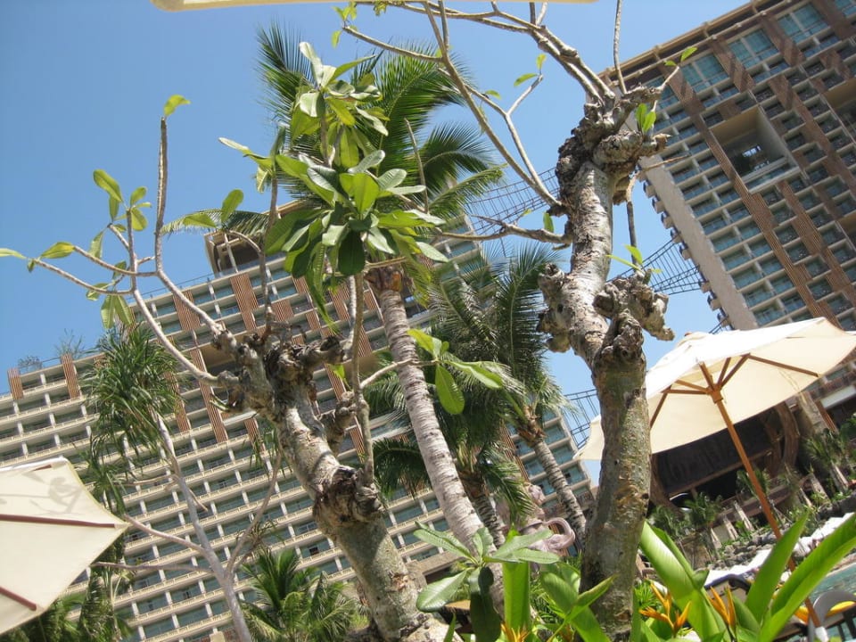 Вид отеля Centara Grand Mirage Beach Resort Pattaya