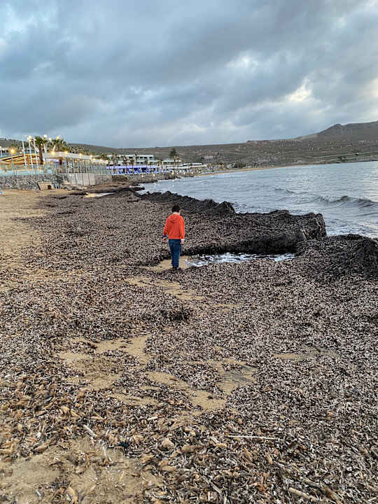 Strand Arina Beach Resort