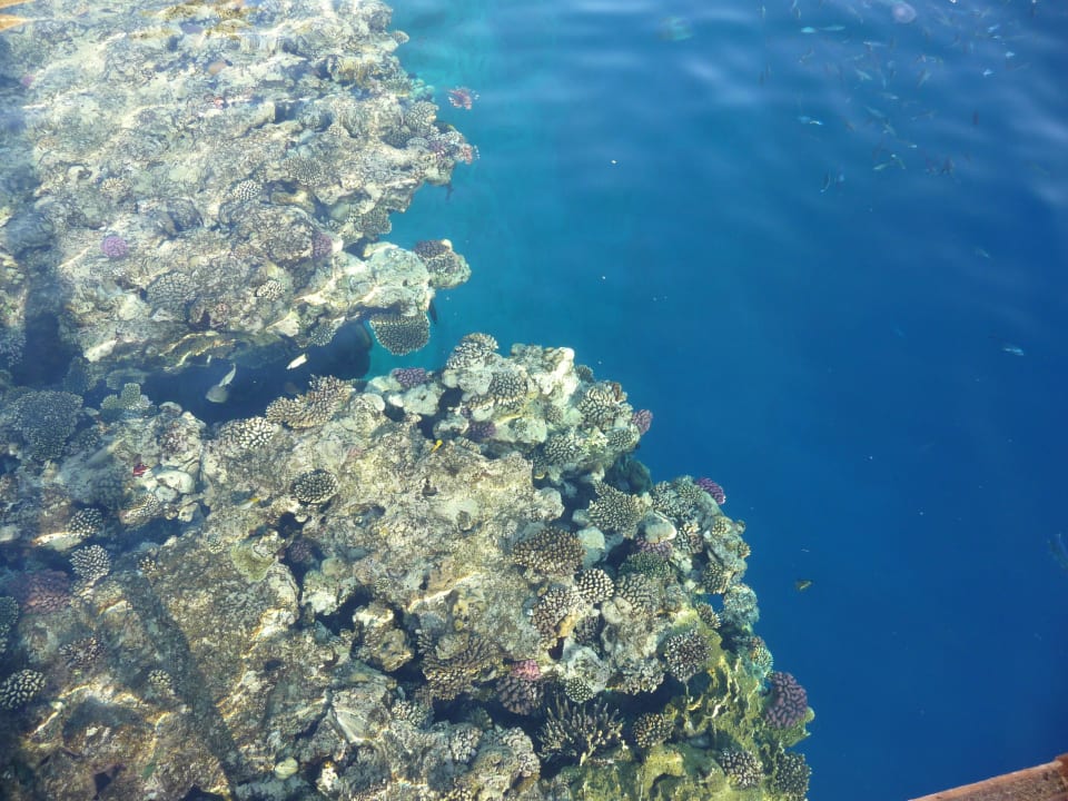 Riff The Grand Hotel Sharm El Sheikh