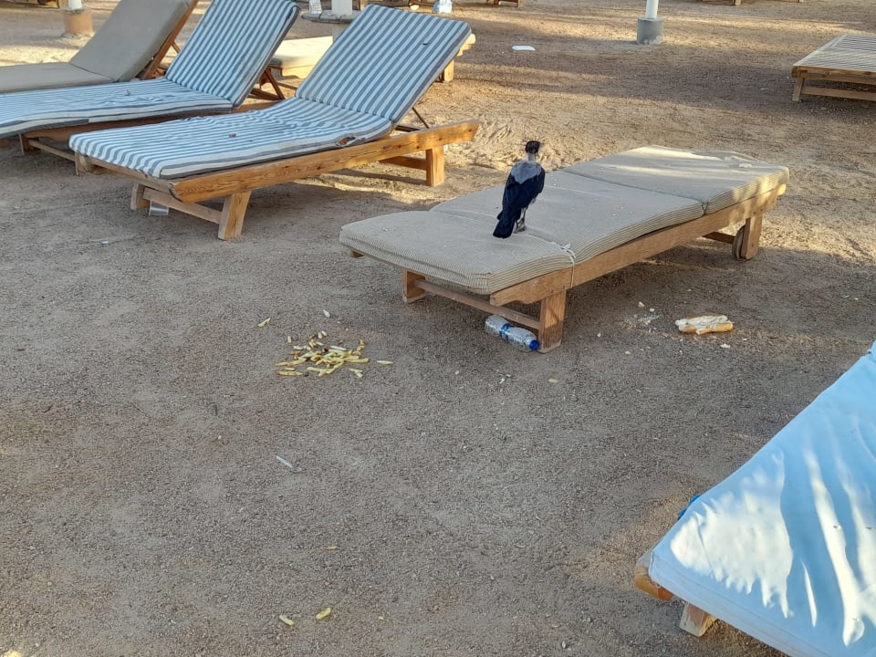 Strand Stella Beach Resort & Spa Makadi Bay