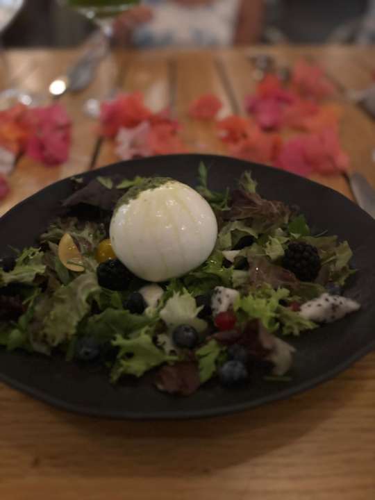 Gastro Rubi Platinum Sign