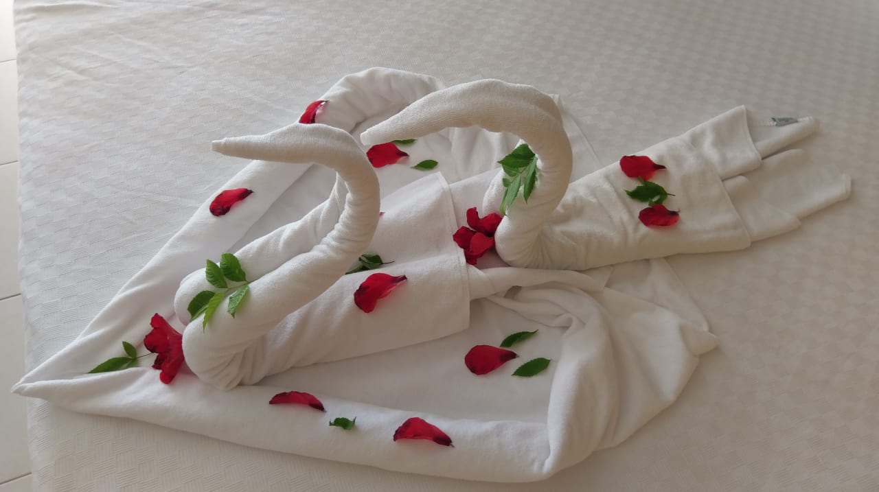 Zimmer Monachus Family Resort Sorgun