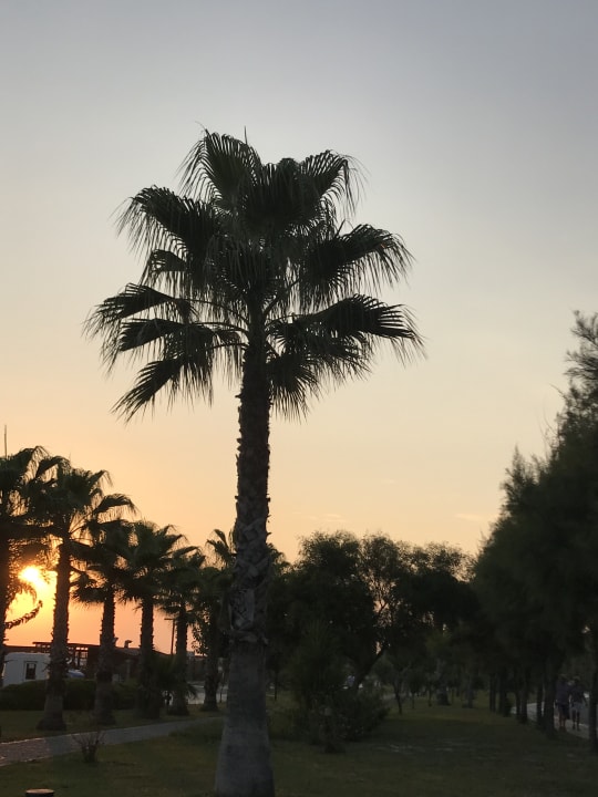 Strand Side Royal Palace Hotel & Spa