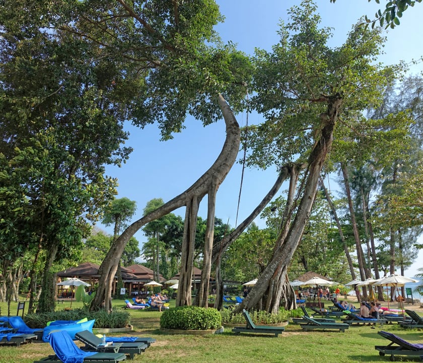 Gartenanlage Khao Lak Merlin Resort