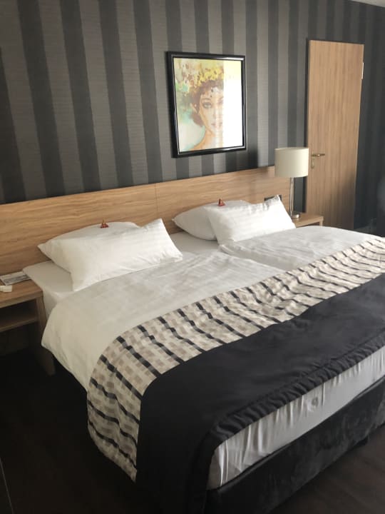 Zimmer Maritim Hotel Königswinter