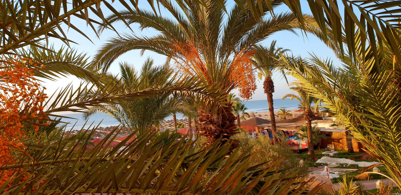 Ausblick Hotel Paradis Palace