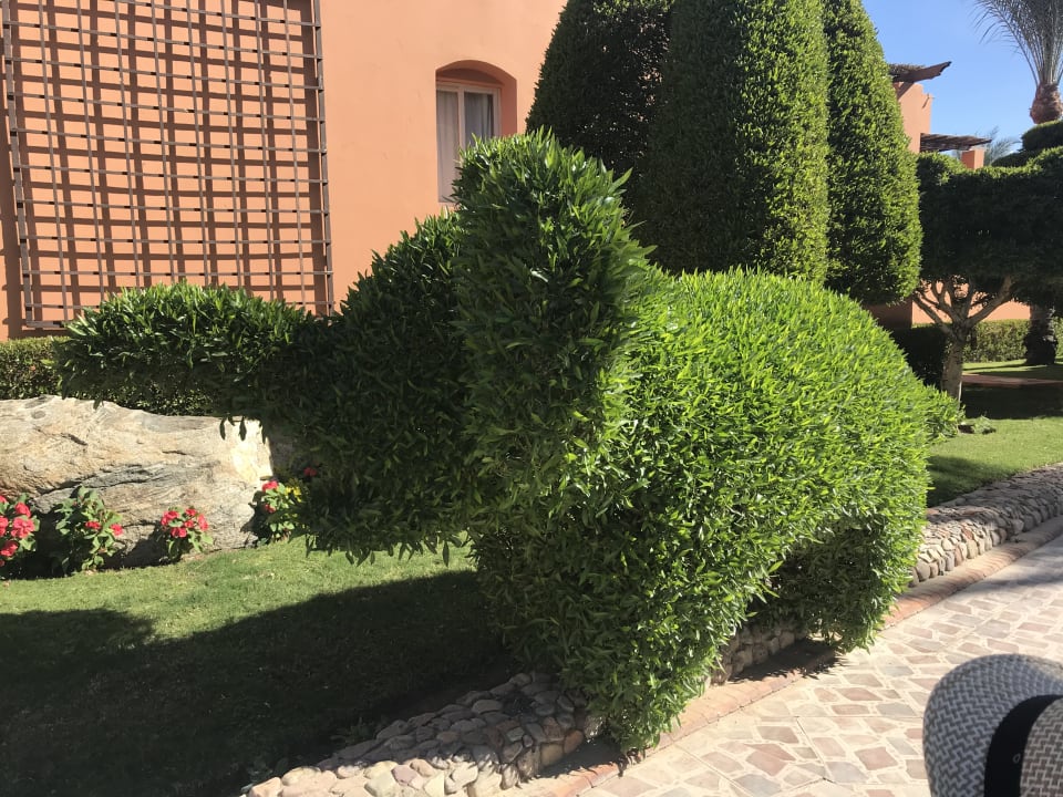 Gartenanlage Jaz Makadina