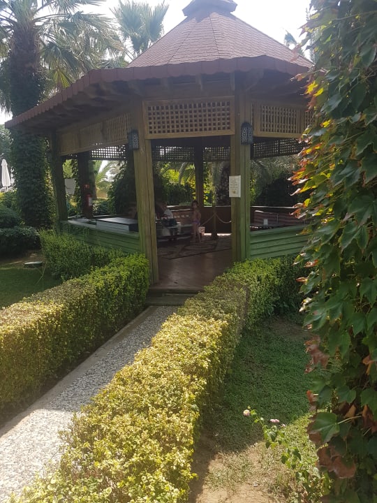 Leckere Snacks  Paloma Oceana