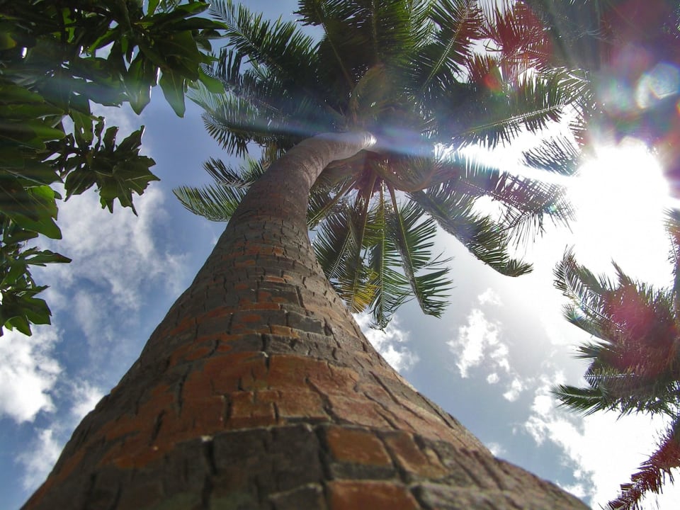 Palme Kuredu Island Resort & Spa