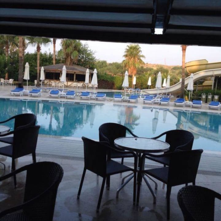 Pool am Morgen Royal Atlantis Beach Hotel