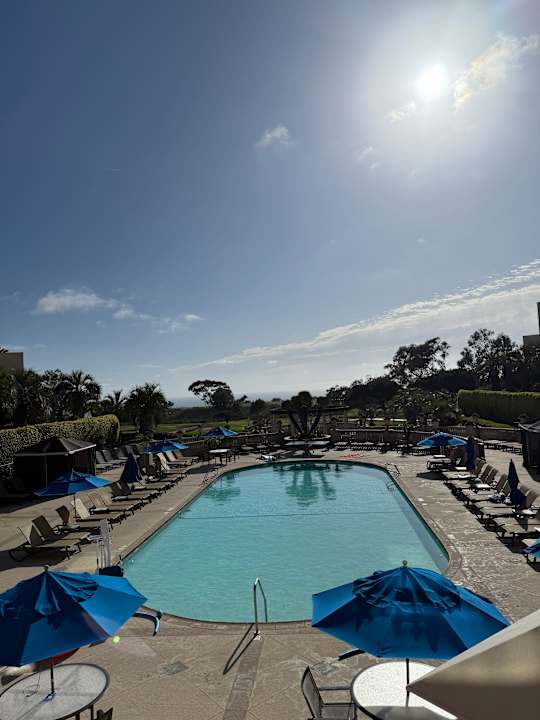 Pool Hotel Hilton La Jolla Torrey Pines