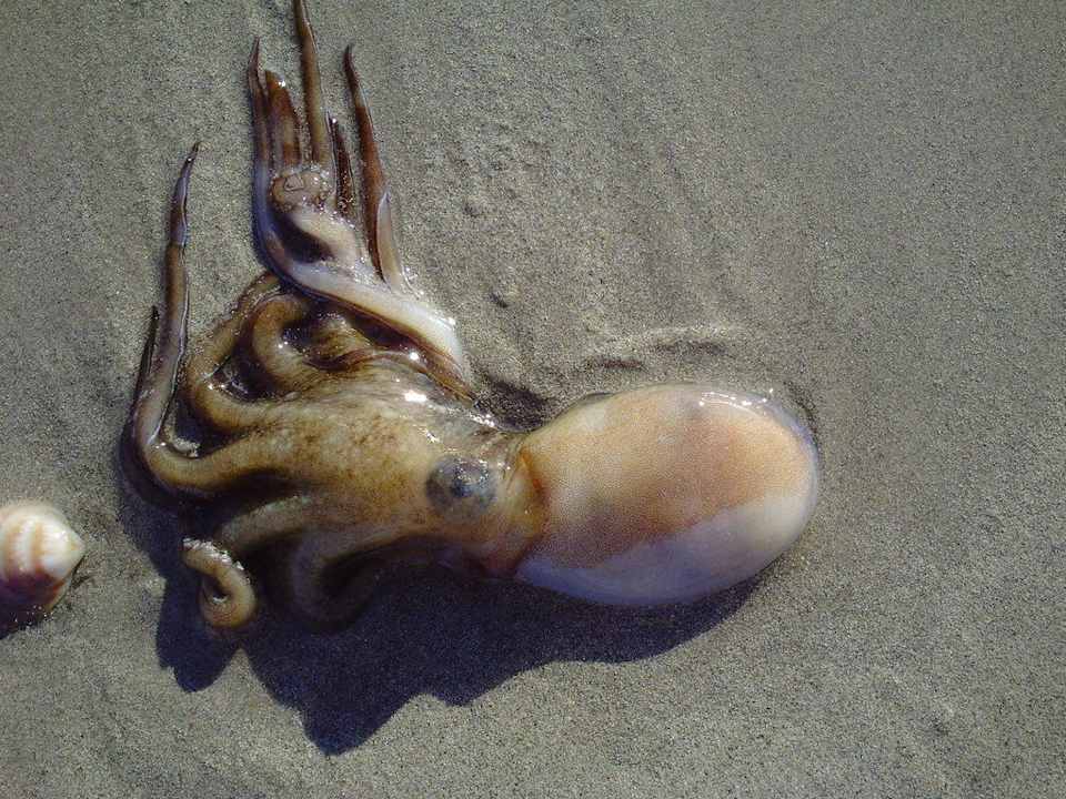 Verirrt  Mahdia Beach & Aquapark