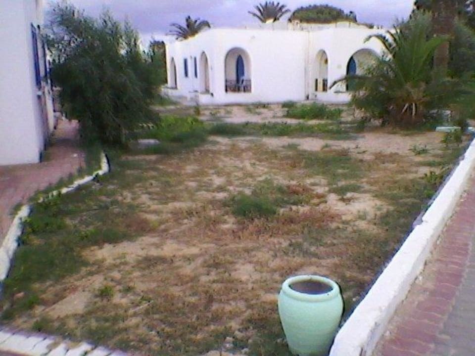 Wo sind die wunderschönen Blumen ? Royal Lido Resort & Spa