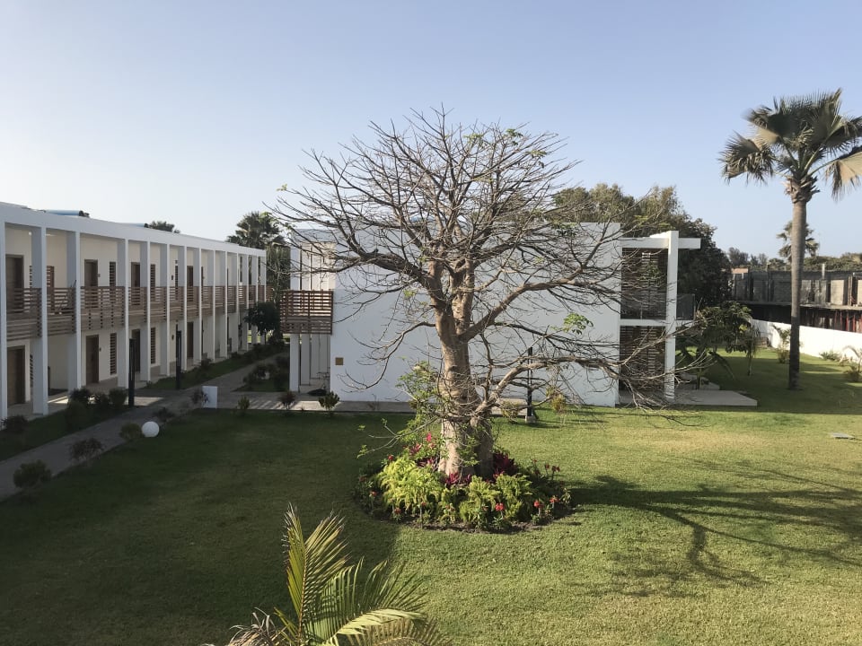 Ausblick TUI BLUE Tamala