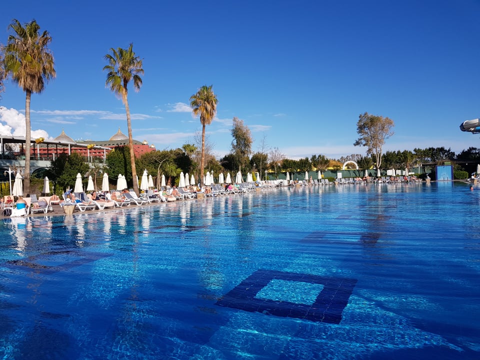 Pool Hotel Delphin Imperial