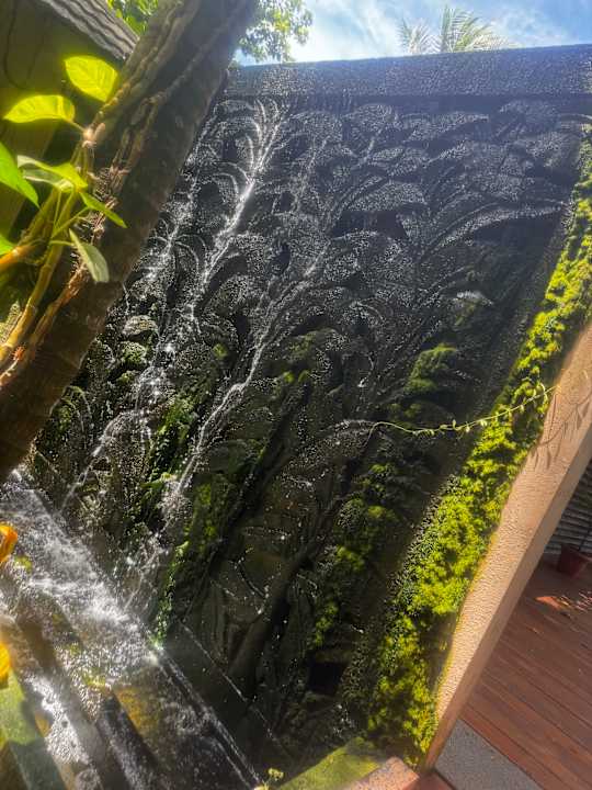 Gartenanlage Adaaran Select Meedhupparu Island Resort - Premium All Inclusive