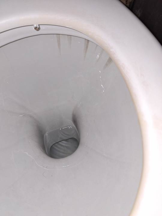 Zimmer Clover Magic Nova Beach