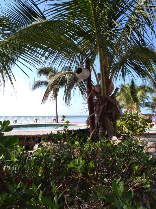 Pool Hotel Villas Flamingos