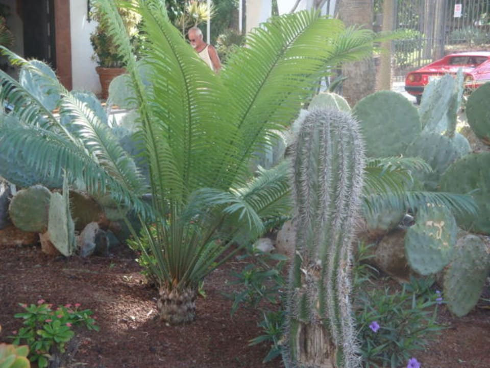 Gartenanlage Corona Roja