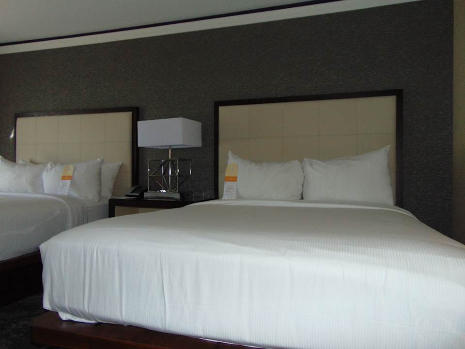 Zimmer Hotel The Henry