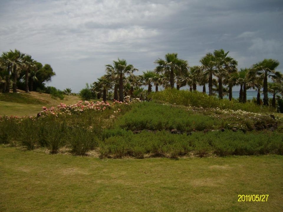 Gartenanlage vor dem Strand-Restaurant Club Grand Side